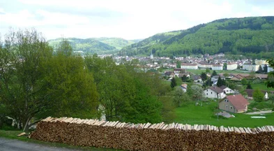Forêt du Val d’Ajol (Vosges) : gestion durable, biodiversité et randonnée