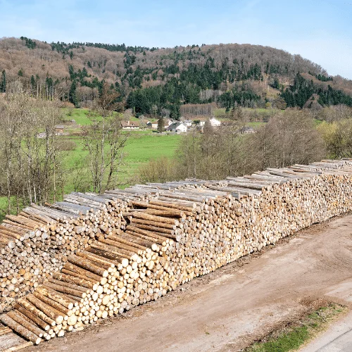 stock de bois
